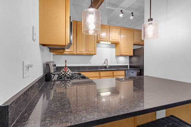 1307 S Wabash Avenue 301, Chicago, IL 60605