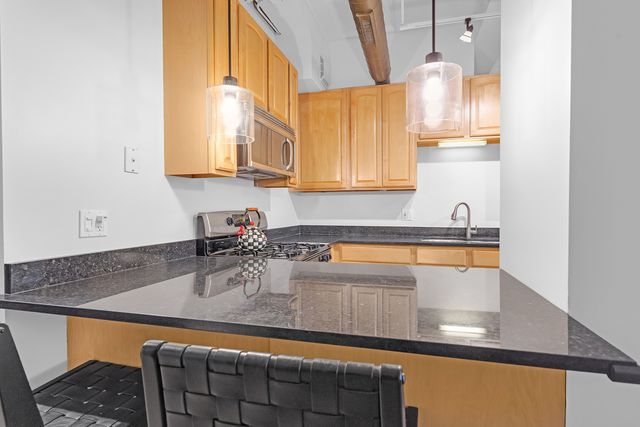 1307 S Wabash Avenue 301, Chicago, IL 60605