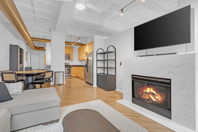 1307 S Wabash Avenue 301, Chicago, IL 60605