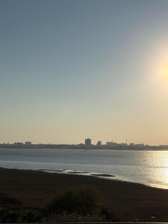 Image 30 of property listing at 161 N Plaza Court 501, Mount Pleasant, SC 29464