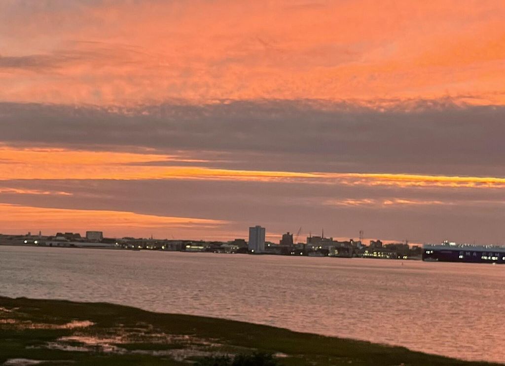 Image 49 of property listing at 161 N Plaza Court 501, Mount Pleasant, SC 29464