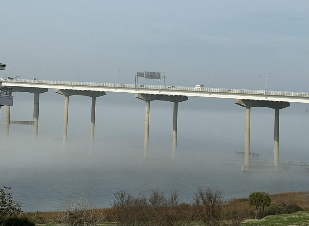 Image 50 of property listing at 161 N Plaza Court 501, Mount Pleasant, SC 29464