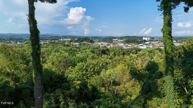 1702 Pierce Street, Kingsport, TN 37664