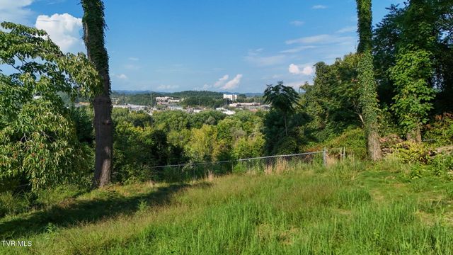 1702 Pierce Street, Kingsport, TN 37664