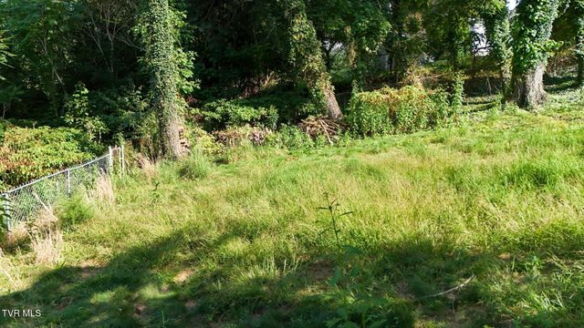 1702 Pierce Street, Kingsport, TN 37664