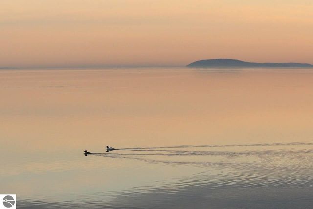 1133 Bay Street, Traverse City, MI 49684