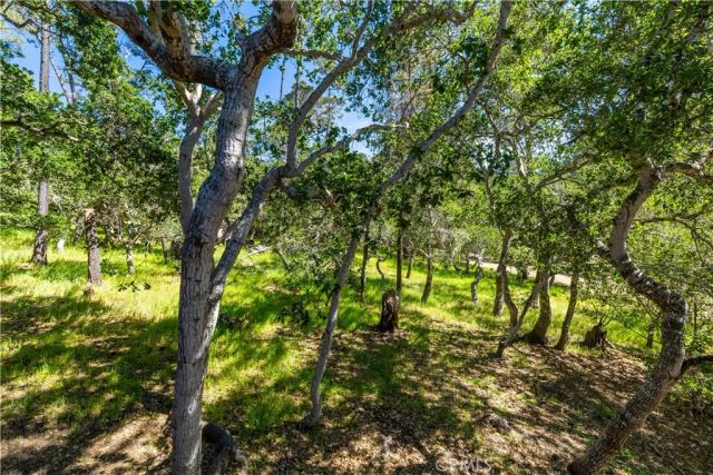 1840 Langton Street, Cambria, CA 93428