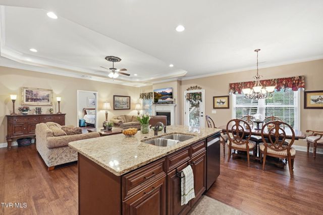 585 Nettle Tree Court, Johnson City, TN 37604