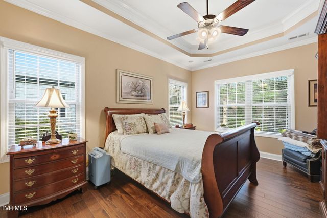 585 Nettle Tree Court, Johnson City, TN 37604