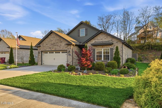 585 Nettle Tree Court, Johnson City, TN 37604