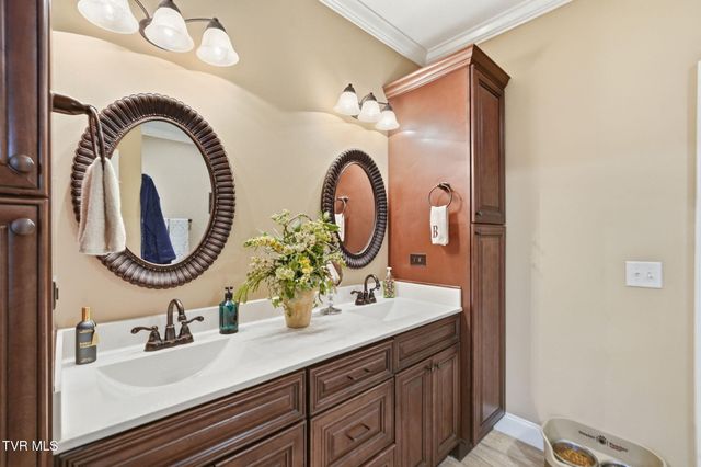 585 Nettle Tree Court, Johnson City, TN 37604