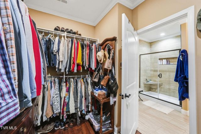 585 Nettle Tree Court, Johnson City, TN 37604