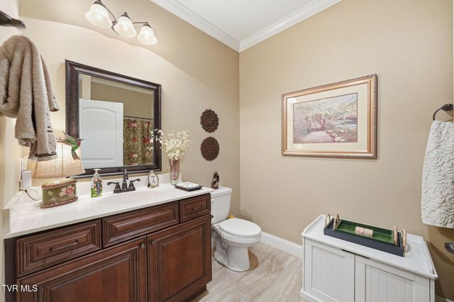 585 Nettle Tree Court, Johnson City, TN 37604