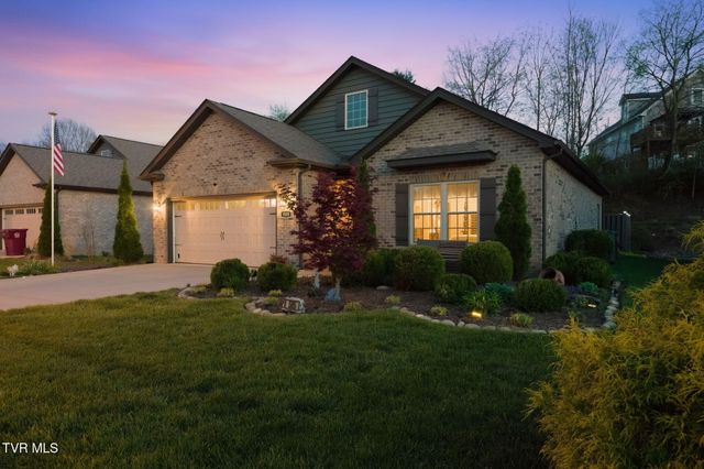 585 Nettle Tree Court, Johnson City, TN 37604