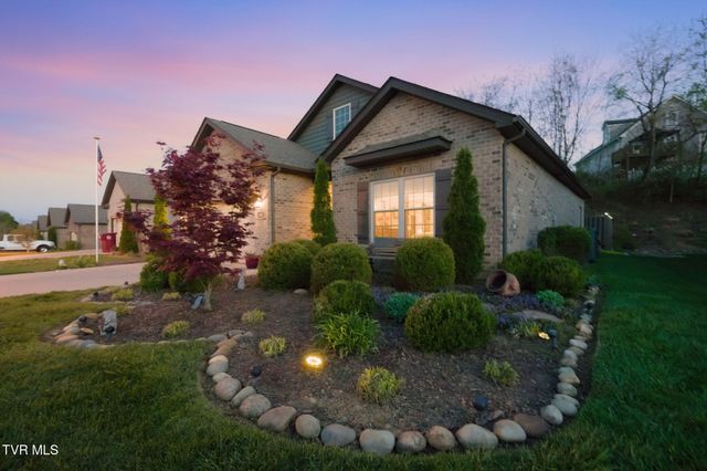 585 Nettle Tree Court, Johnson City, TN 37604