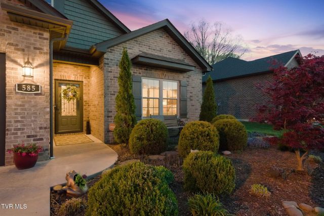 585 Nettle Tree Court, Johnson City, TN 37604