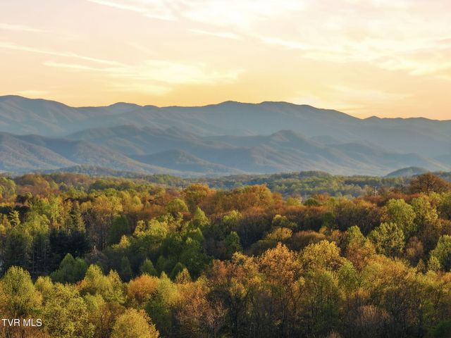 585 Nettle Tree Court, Johnson City, TN 37604