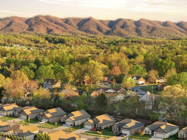 585 Nettle Tree Court, Johnson City, TN 37604