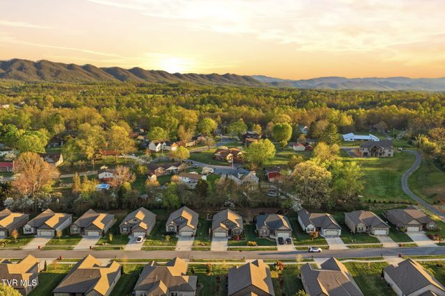 585 Nettle Tree Court, Johnson City, TN 37604