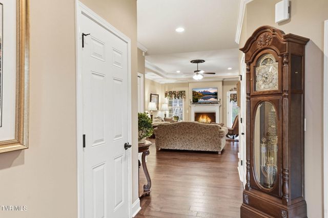 585 Nettle Tree Court, Johnson City, TN 37604