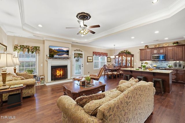 585 Nettle Tree Court, Johnson City, TN 37604