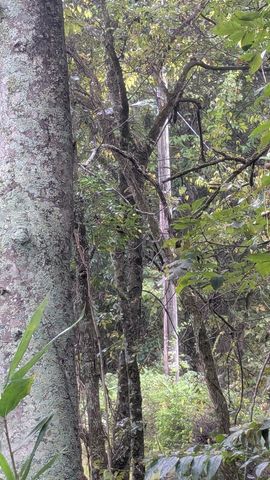 0 Greenvale Rd, Lebanon, TN 37087