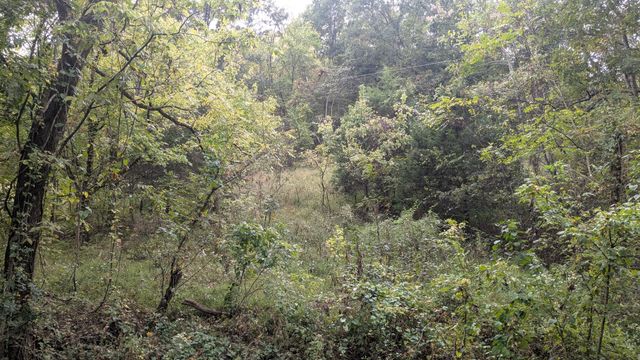 0 Greenvale Rd, Lebanon, TN 37087