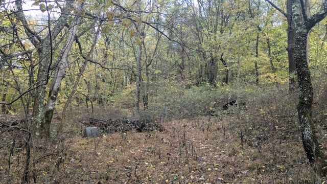 0 Greenvale Rd, Lebanon, TN 37087