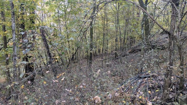 0 Greenvale Rd, Lebanon, TN 37087