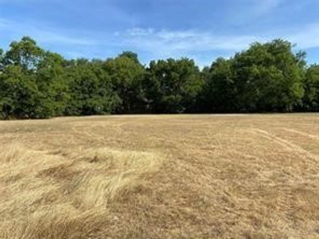 401 S Gardner Street, Whitewright, TX 75491