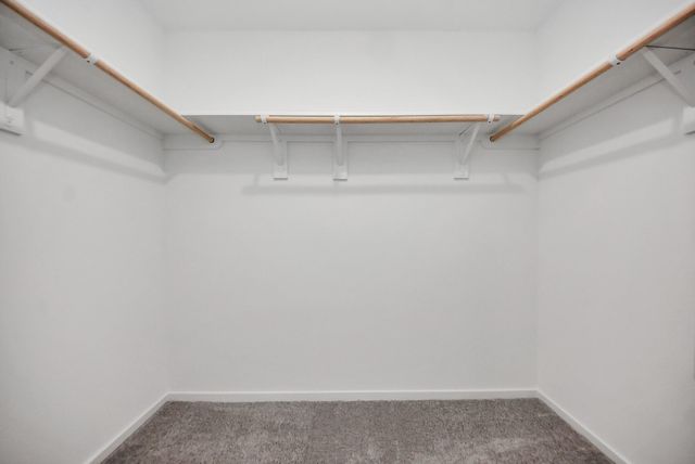 1031 Garnet Rain, Beasley, TX 77417