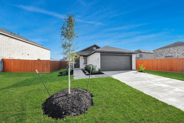 1031 Garnet Rain, Beasley, TX 77417