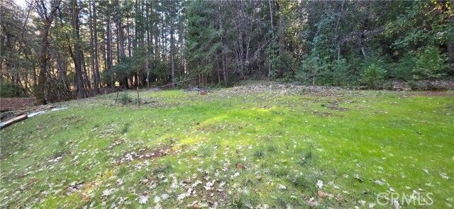 16455 Frenchtown, Brownsville, CA 95919