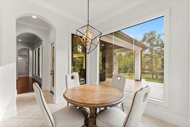 27374 Shady Hills Landing Lane, Spring, TX 77386