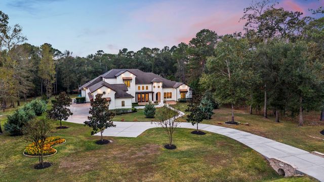 27374 Shady Hills Landing Lane, Spring, TX 77386