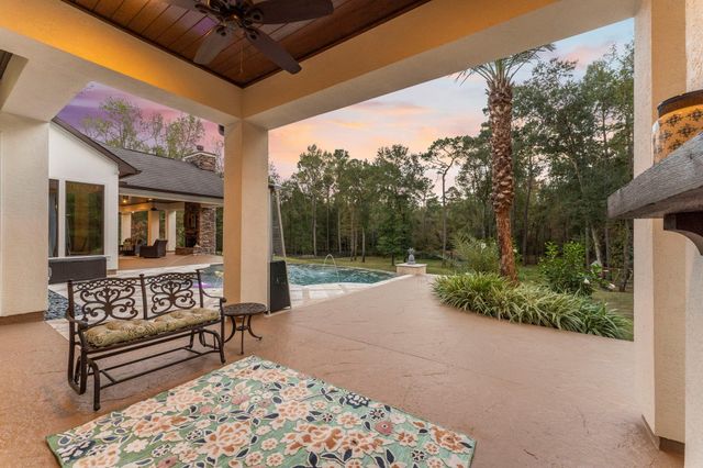 27374 Shady Hills Landing Lane, Spring, TX 77386