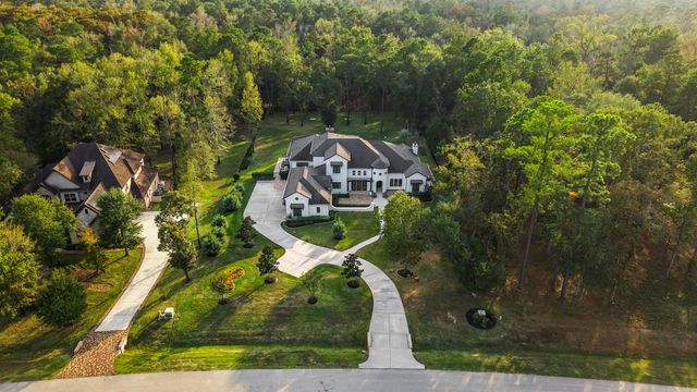 27374 Shady Hills Landing Lane, Spring, TX 77386