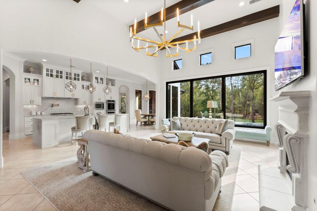 27374 Shady Hills Landing Lane, Spring, TX 77386