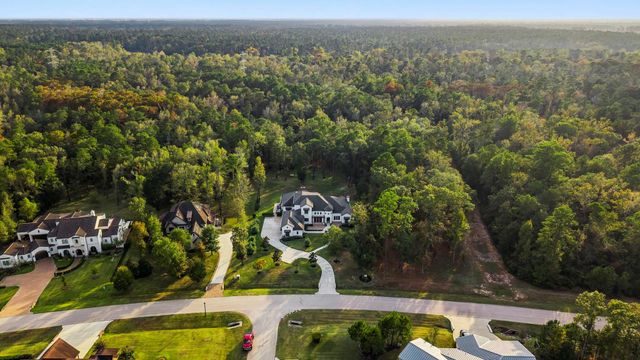 27374 Shady Hills Landing Lane, Spring, TX 77386