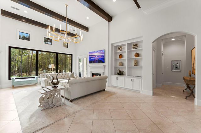 27374 Shady Hills Landing Lane, Spring, TX 77386