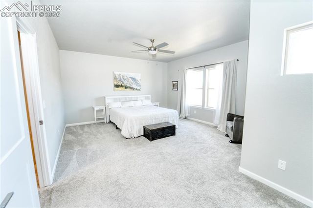 13388 Positano Point, Colorado Springs, CO 80921