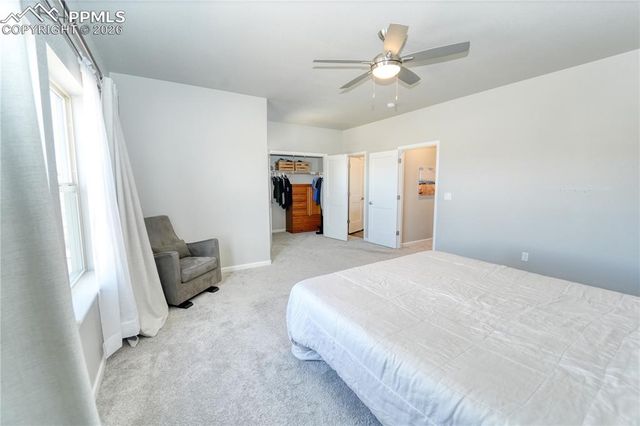 13388 Positano Point, Colorado Springs, CO 80921