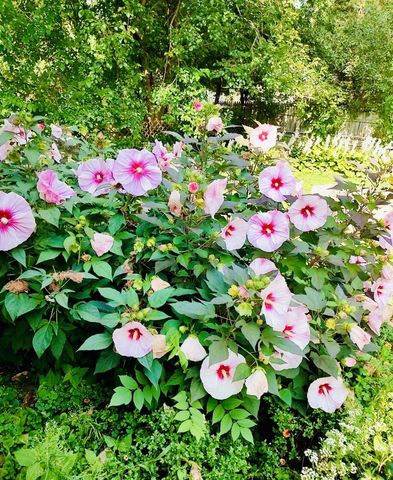 913 Chapel Hill ROAD, Madison, WI 53711