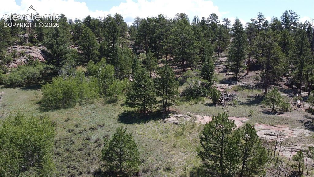 204 Pike View Lane, Florissant, CO 80816 — exterior