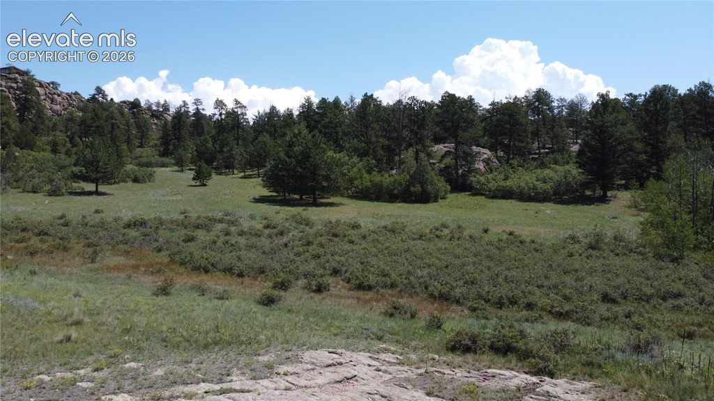 204 Pike View Lane, Florissant, CO 80816 — photo 3
