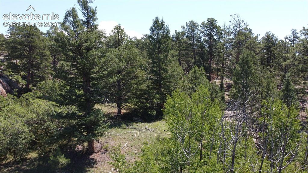 204 Pike View Lane, Florissant, CO 80816 — photo 4