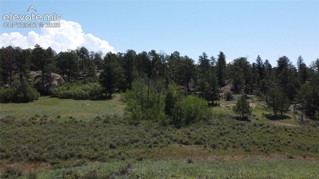204 Pike View Lane, Florissant, CO 80816 — photo 5