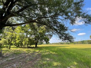 Lot 5B Rains County Road 2420, Alba, TX 75410