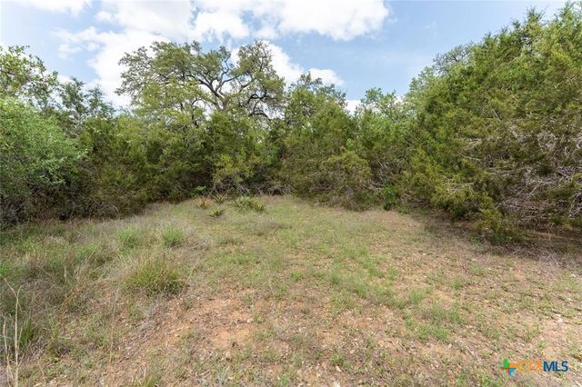 13921 Nutty Brown Road, Austin, TX 78737