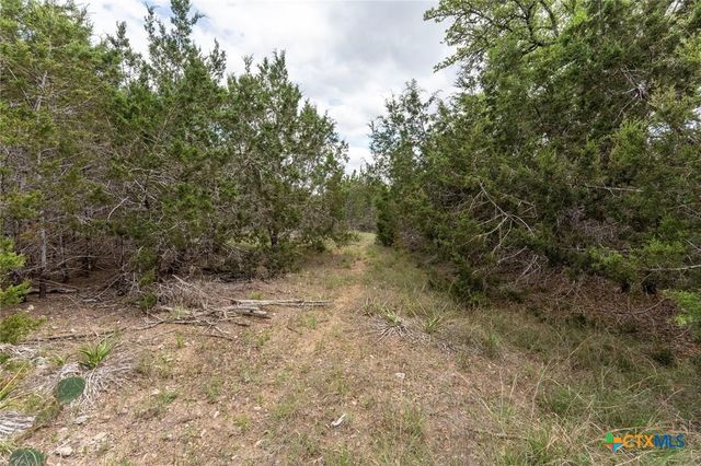 13921 Nutty Brown Road, Austin, TX 78737